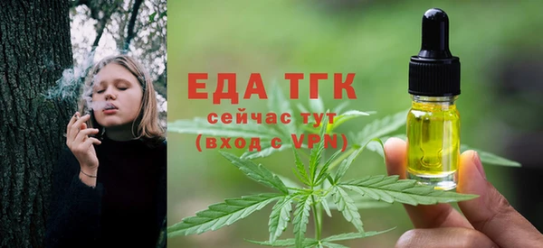 индика Абаза