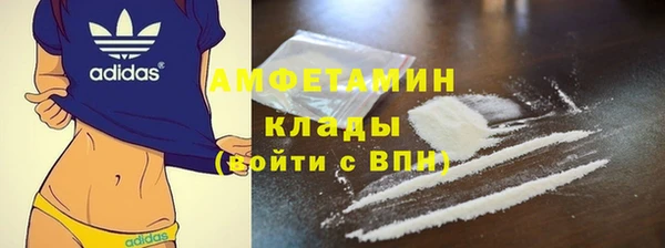 индика Абаза