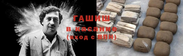 индика Абаза