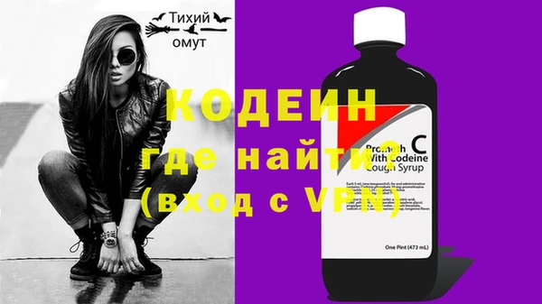 индика Абаза