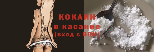 индика Абаза