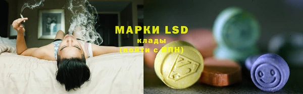 ГАЛЛЮЦИНОГЕННЫЕ ГРИБЫ Алексеевка