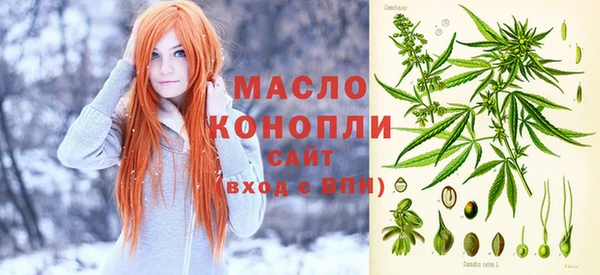 индика Абаза