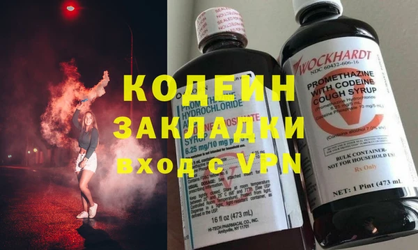 индика Абаза