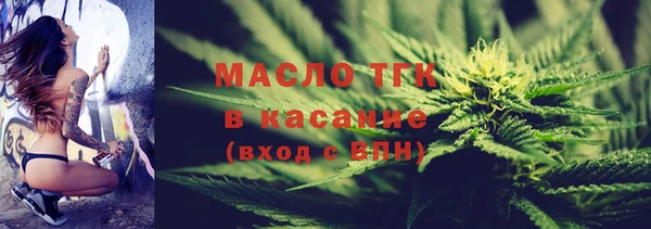 индика Абаза