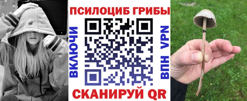 Галлюциногенные грибы прущие грибы  магазин    Красавино 